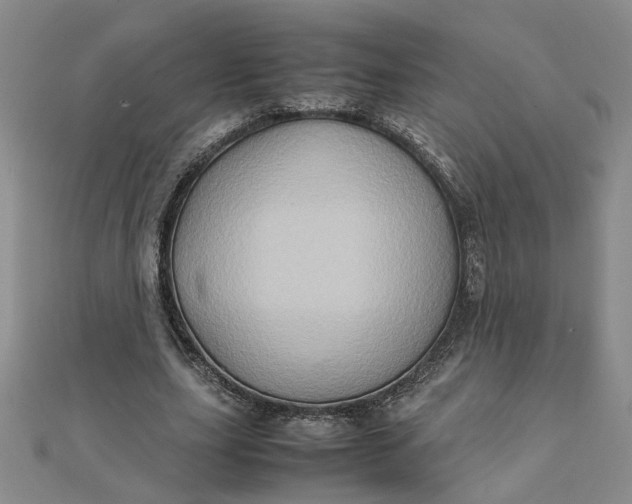 X0000111900631200908101141