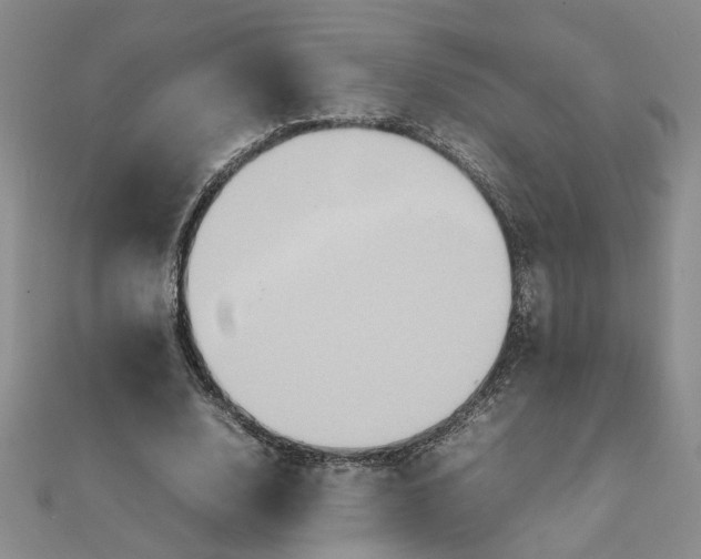 X0000111900632200908101141