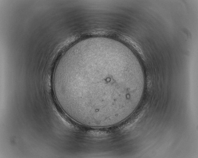 X0000111900633200908101141