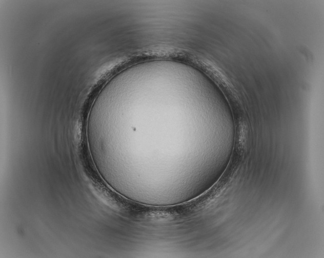 X0000111900636200908101141