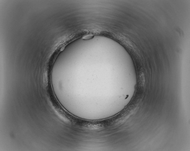 X0000111900638200908101141