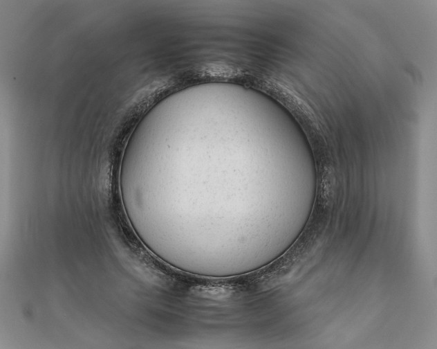 X0000111900639200908101141