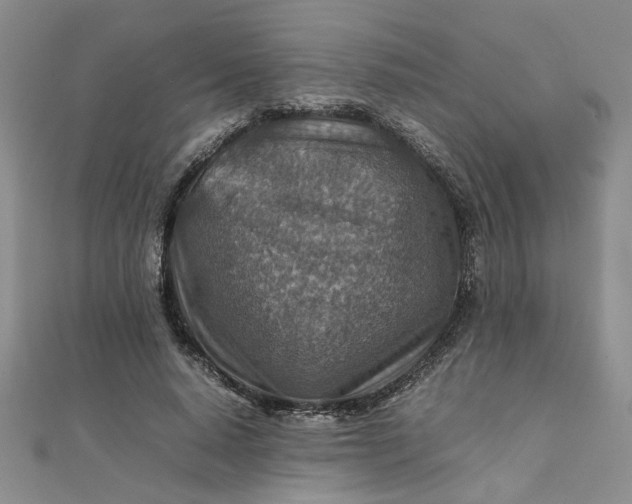 X0000111900640200908101141