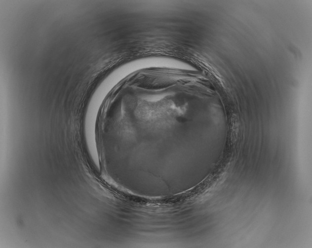 X0000111900641200908101141