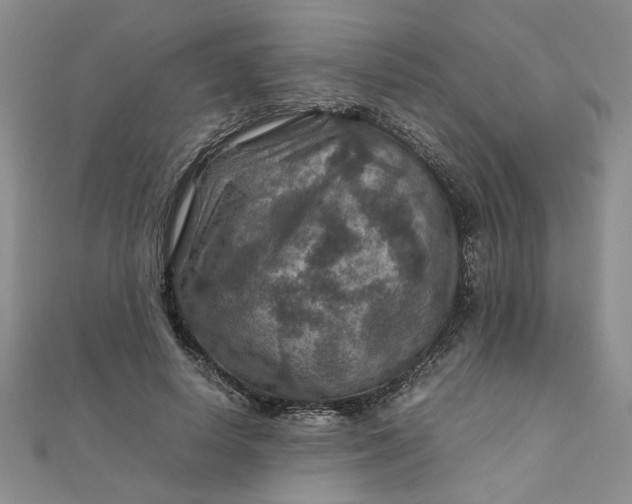 X0000111900642200908101141