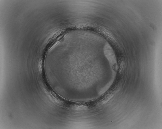 X0000111900644200908101141