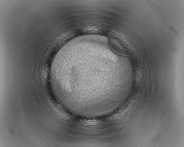 X0000111900645200908101141