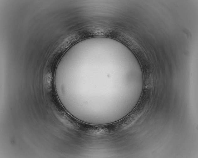 X0000111900646200908101141