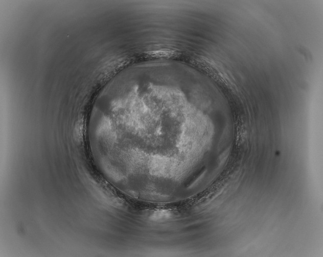 X0000111900647200908101141