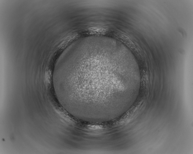 X0000111900649200908101141