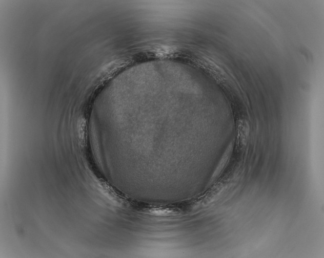 X0000111900650200908101141