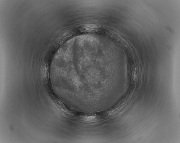 X0000111900651200908101141