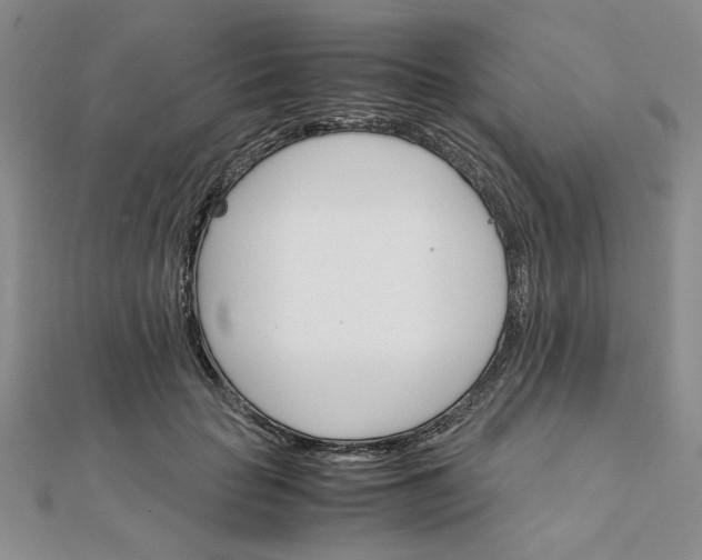 X0000111900653200908101141