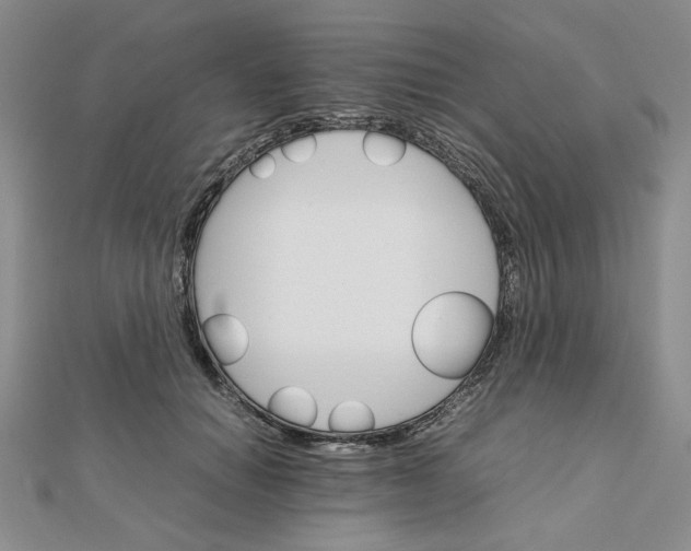 X0000111900654200908101141