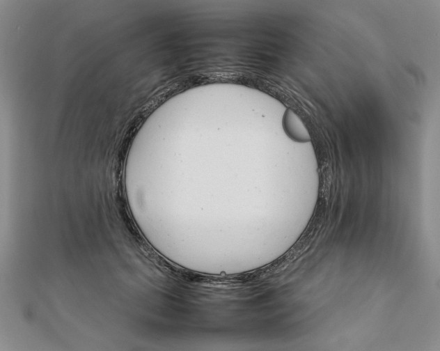 X0000111900655200908101141