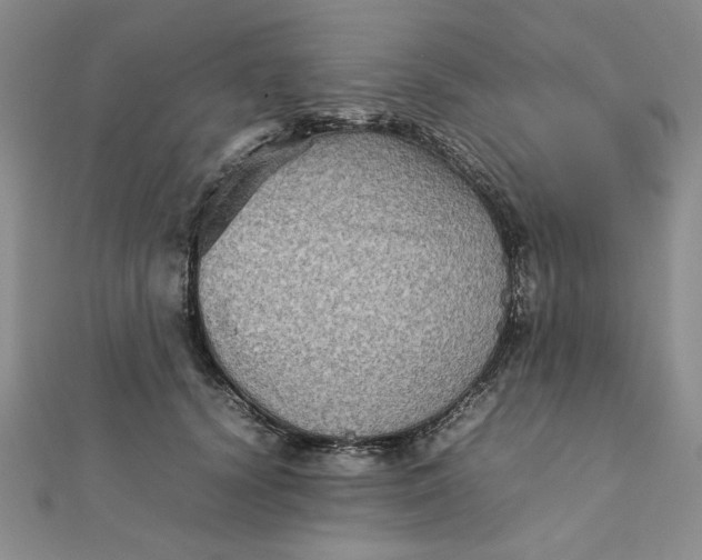 X0000111900656200908101141