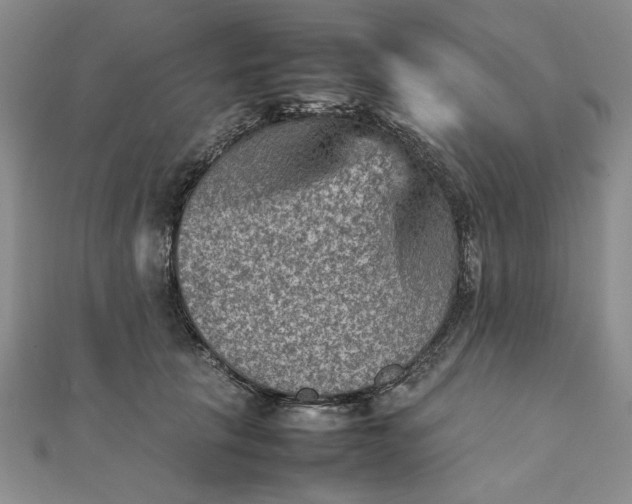 X0000111900657200908101141