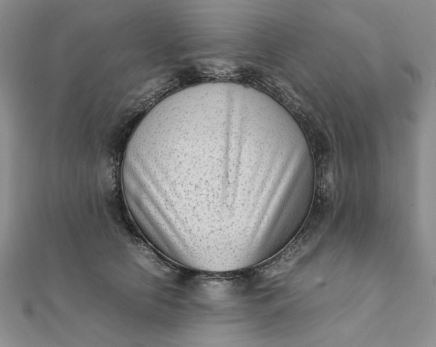 X0000111900658200908101141