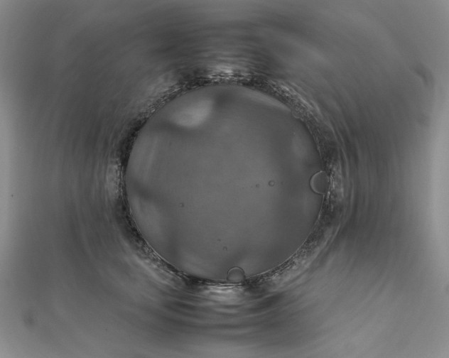 X0000111900659200908101141