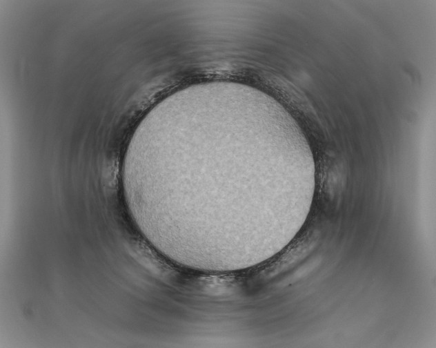 X0000111900660200908101141