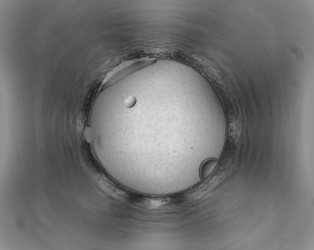 X0000111900662200908101141