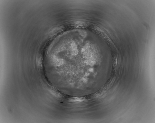 X0000111900663200908101141