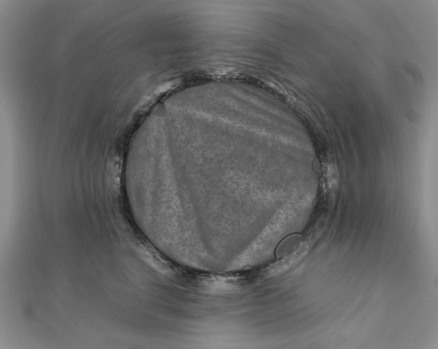 X0000111900664200908101141