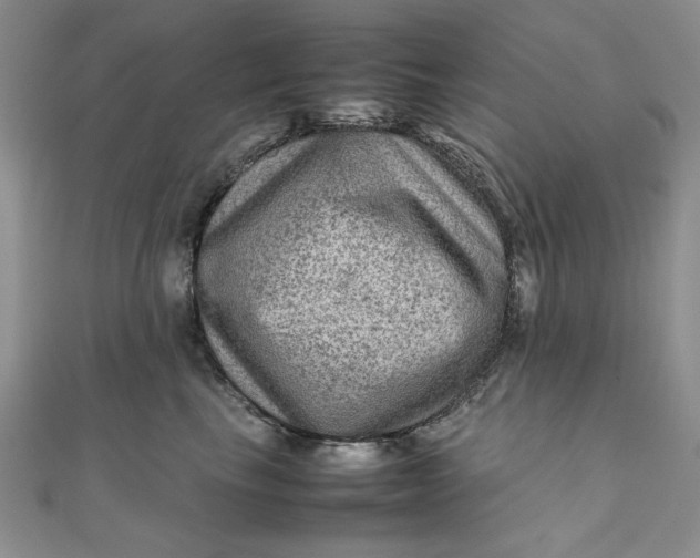 X0000111900665200908101141