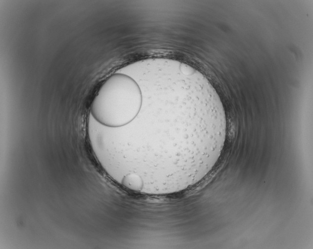 X0000111900666200908101141