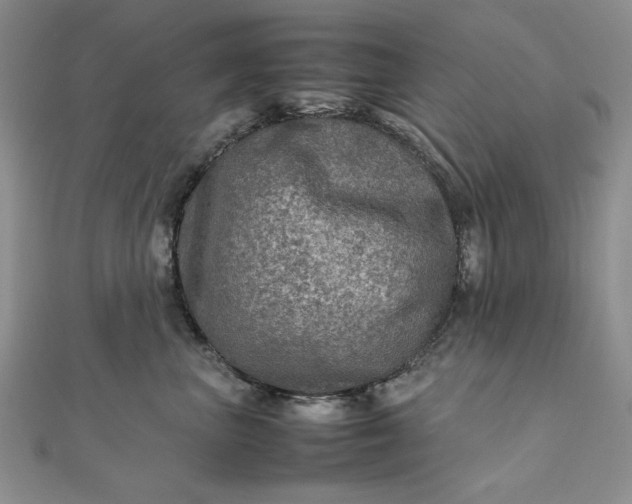 X0000111900667200908101141