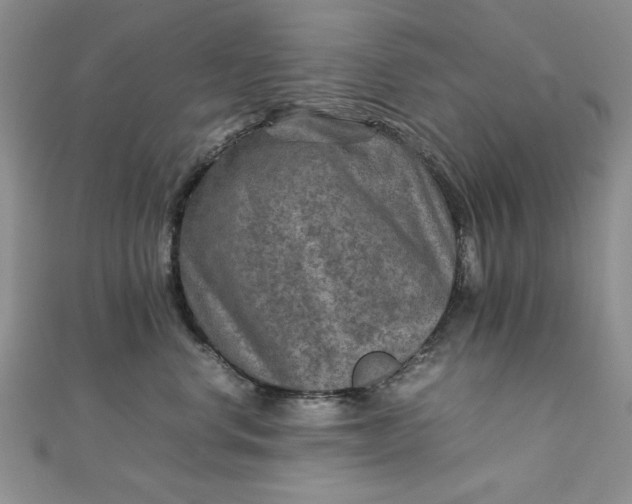 X0000111900668200908101141