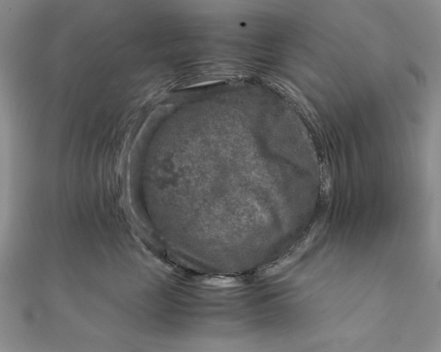 X0000111900669200908101141