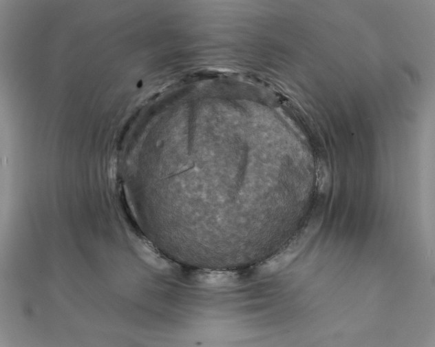 X0000111900670200908101141