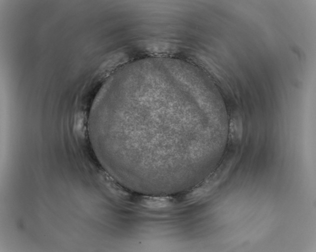 X0000111900671200908101141