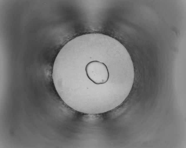 X0000111900672200908101141