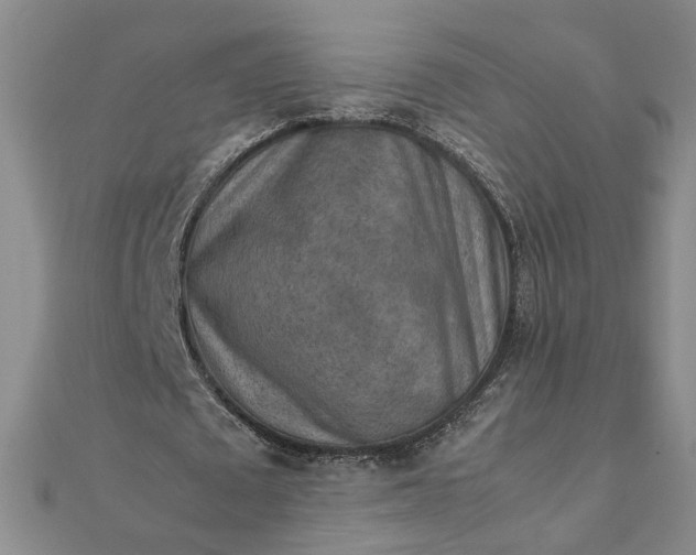 X0000111900673200908101141