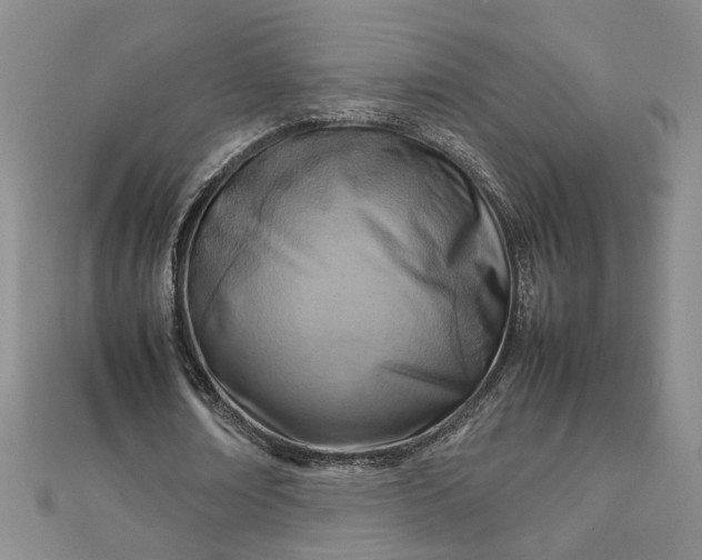 X0000111900674200908101141