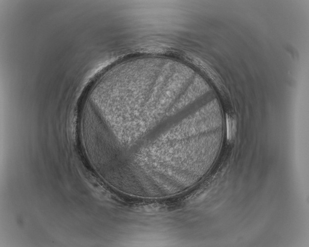 X0000111900675200908101141