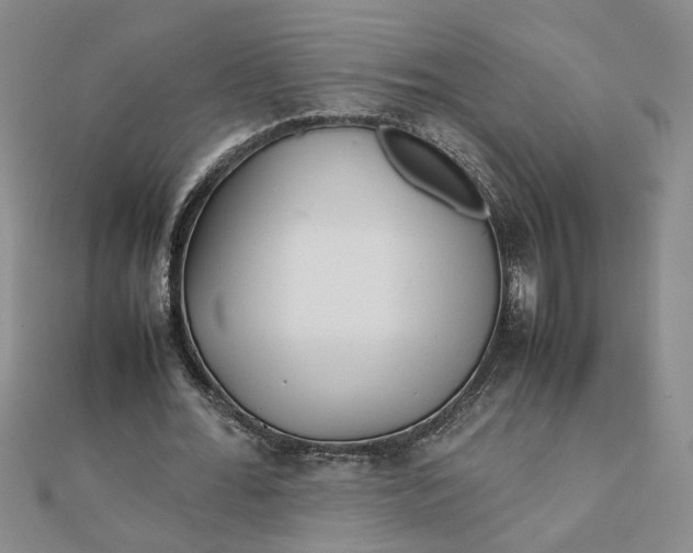 X0000111900676200908101141