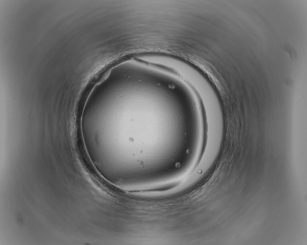 X0000111900677200908101141