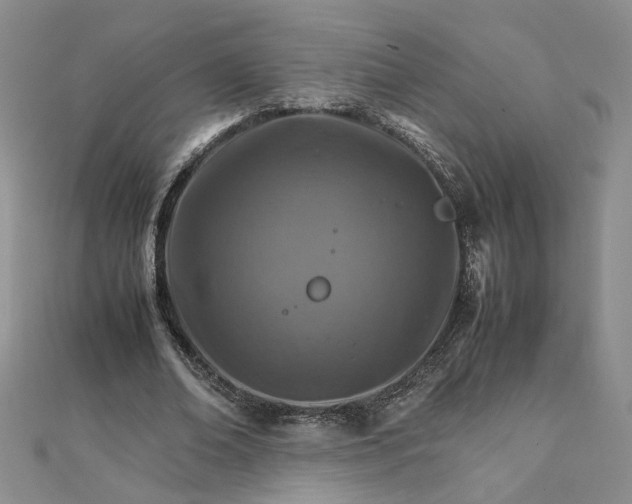 X0000111900678200908101141