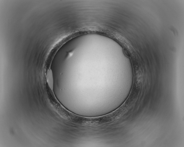 X0000111900680200908101141