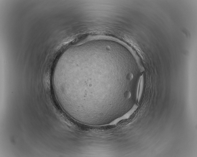 X0000111900681200908101141