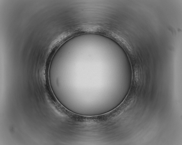 X0000111900682200908101141