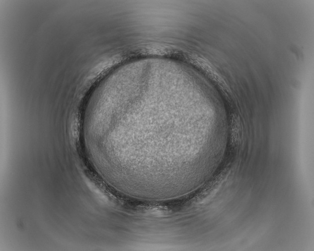 X0000111900683200908101141