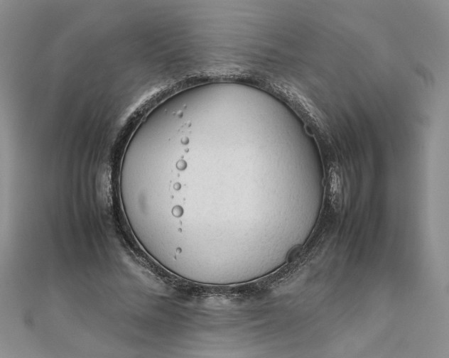 X0000111900684200908101141