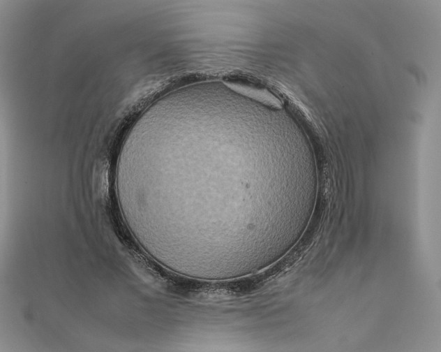 X0000111900685200908101141