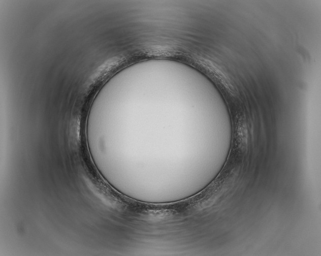 X0000111900686200908101141