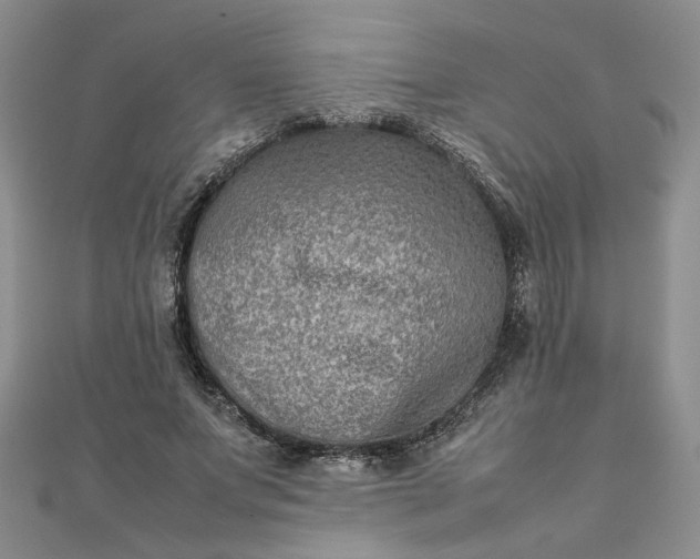 X0000111900687200908101141