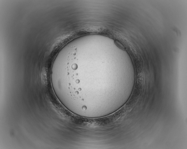 X0000111900688200908101141